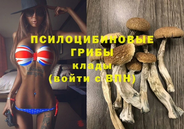 бошки Верхний Тагил