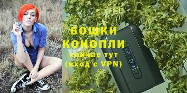 бошки Верхний Тагил