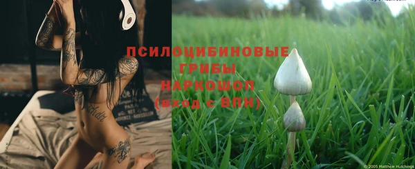 бошки Верхний Тагил